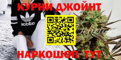дмт Камышлов
