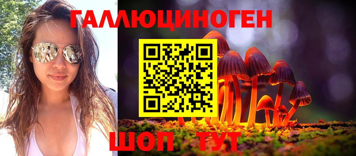 Псилоцибиновые грибы Psilocybine cubensis  наркота  Кстово  Псилоцибиновые грибы прущие грибы  Вход с VPN 